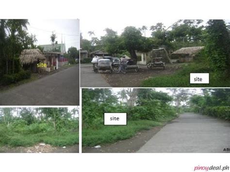 cocal land meaning|Home .